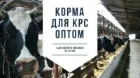 Высокобелковые кормовые продукты для КРС и птицы